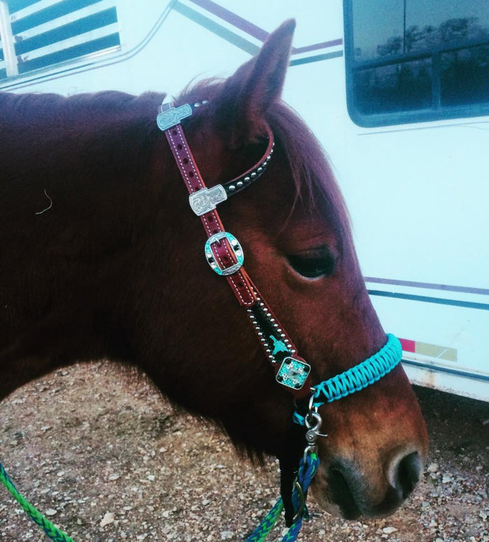 Neon turquoise side pull hackamore  bitless attachment.... with black or  brown chinstrap...all sizes
