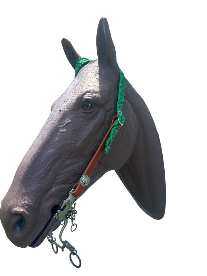 One ear mule tape and leather bridle