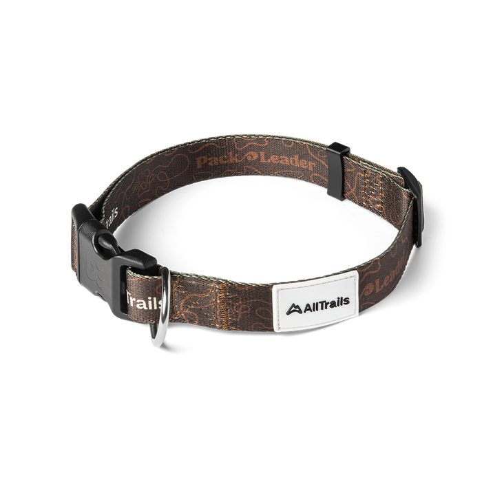 Pack Leader Dog Collar Pet Pridebites