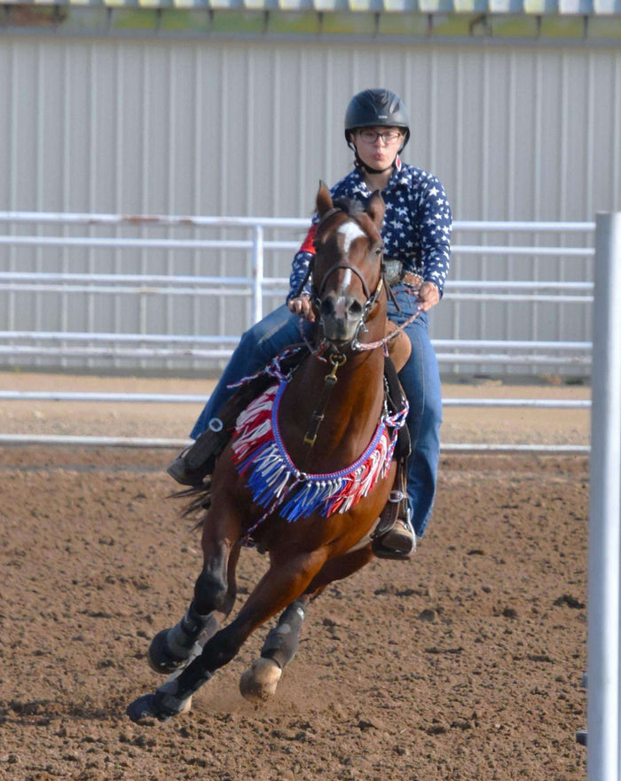 Patriotic fringe breast collar with wither strap. - Tiffanys Braided Tack LLC