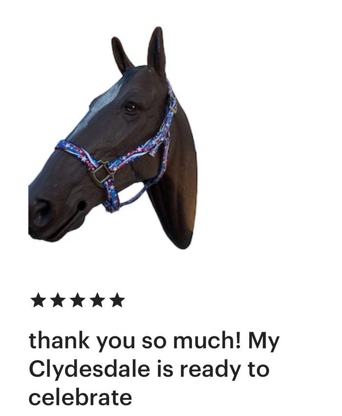 Patriotic nylon horse halter - Tiffanys Braided Tack LLC