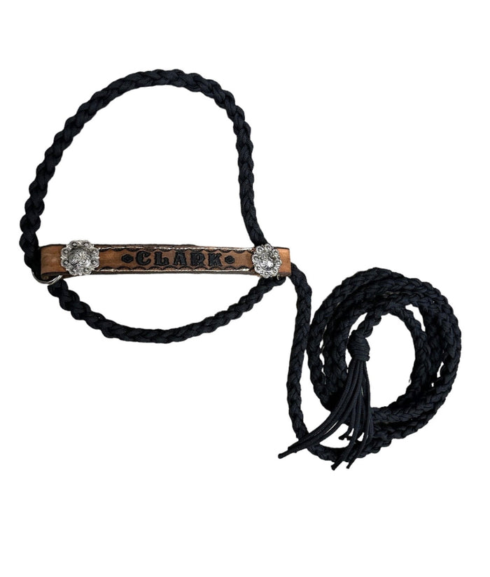 Personalized cow halter large cow or mini cow size Black
