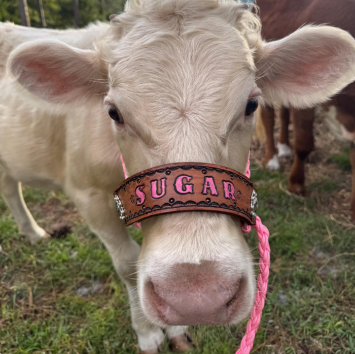 Personalized COW  halter large cow or mini cow size light  pink - Tiffanys Braided Tack LLC