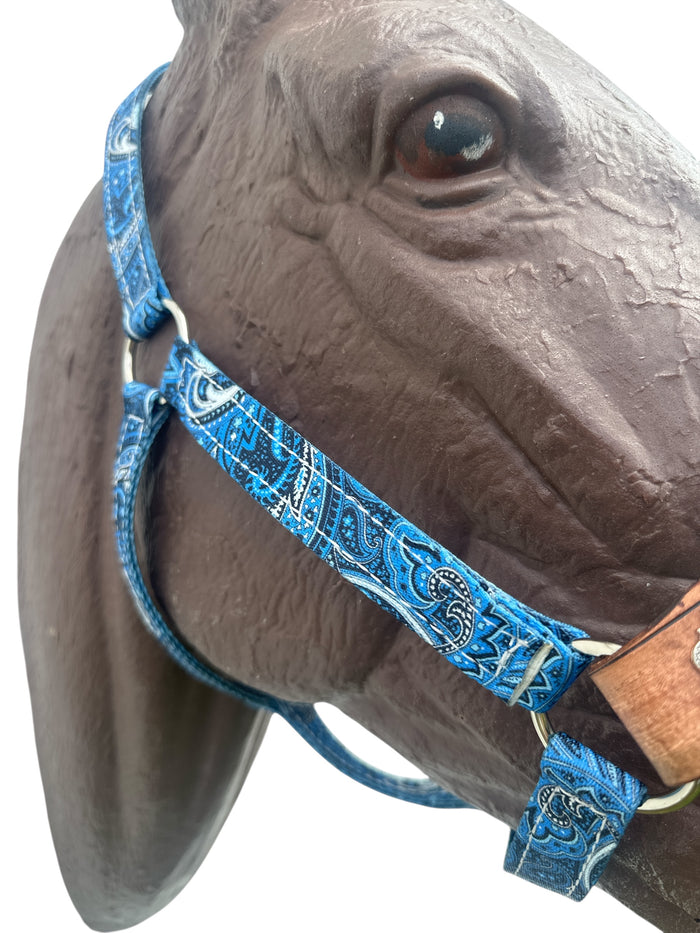 PERSONALIZED horse halter blue
