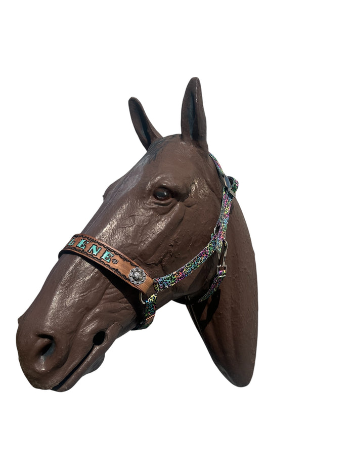 PERSONALIZED horse halter rainbow cheetah