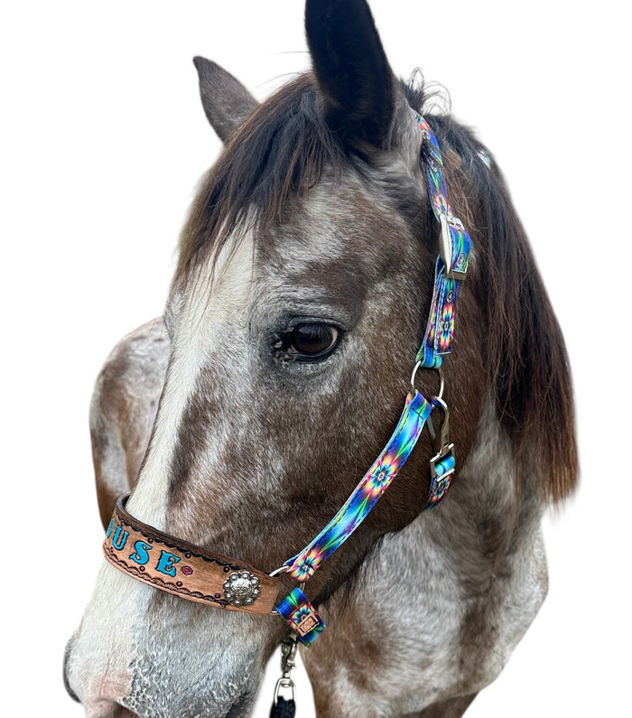Personalized horse halter tie dye flowers