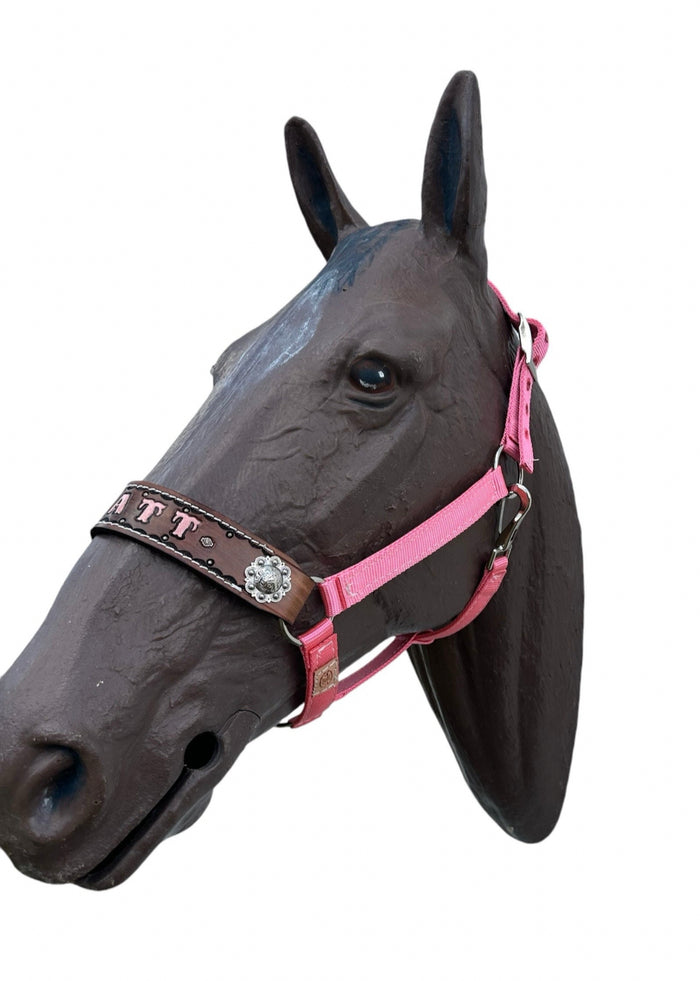 PERSONALIZED   nylon horse halter light pink