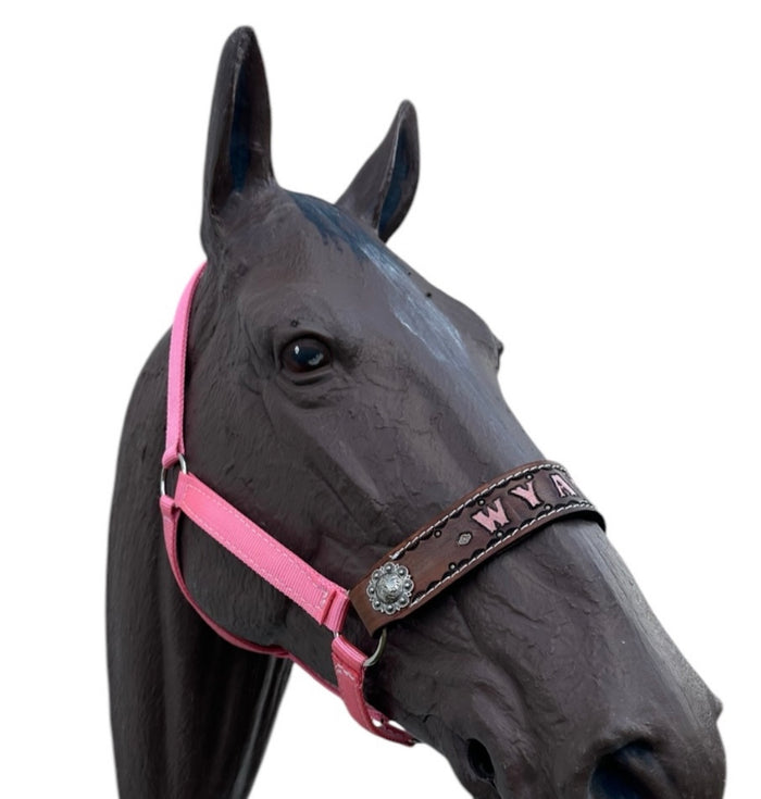 PERSONALIZED   nylon horse halter light pink
