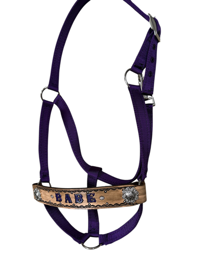 PERSONALIZED  nylon horse halter purple