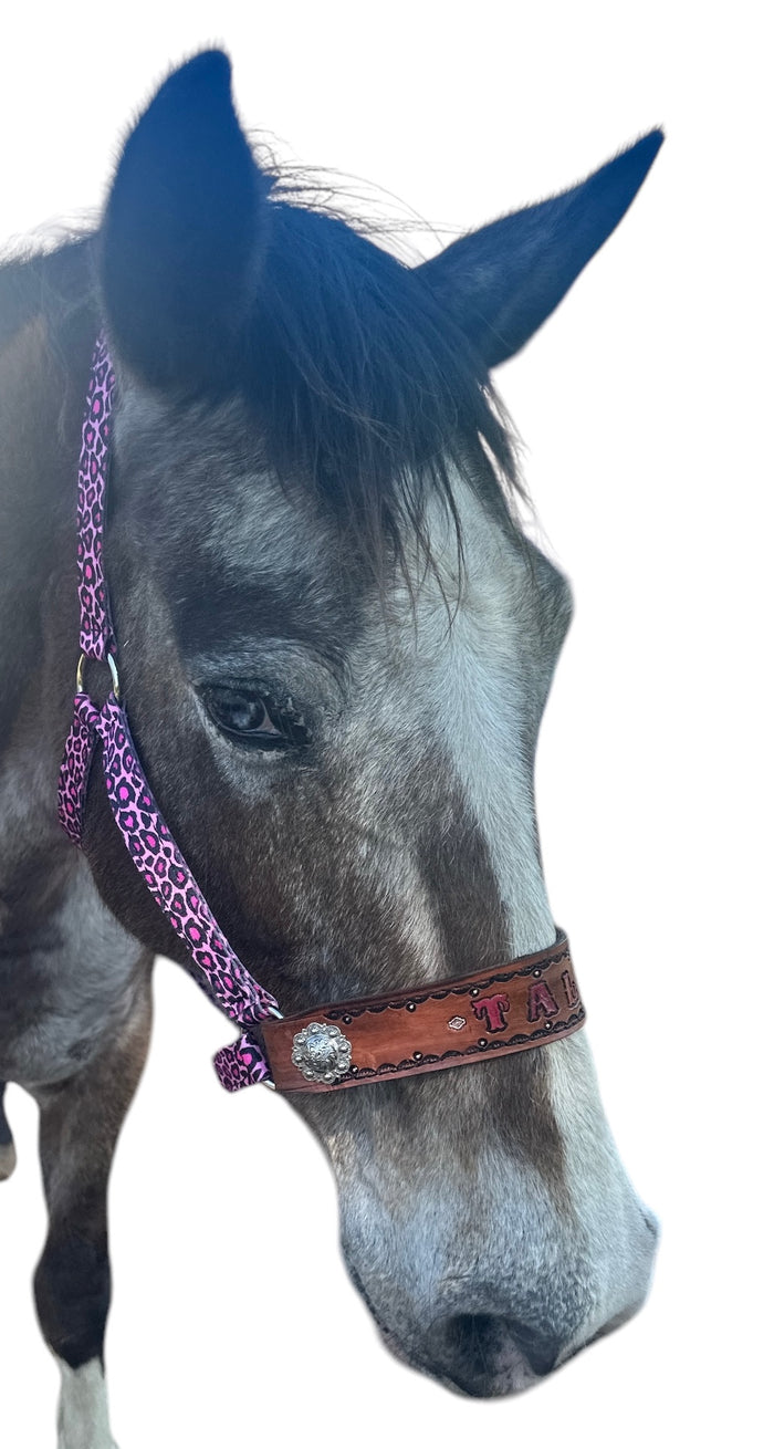 PERSONALIZED pink cheetah nylon horse halter.