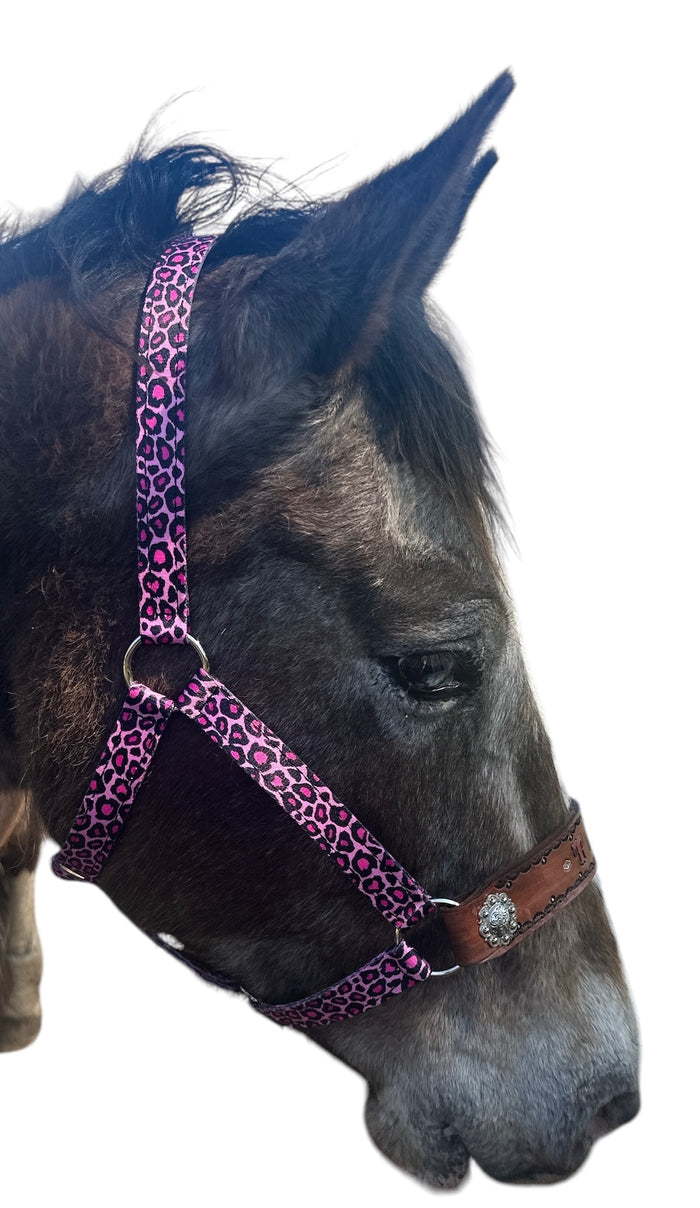 PERSONALIZED pink cheetah nylon horse halter.