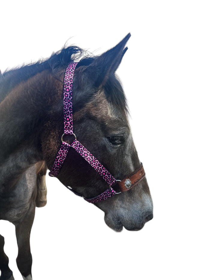 PERSONALIZED pink cheetah nylon horse halter.