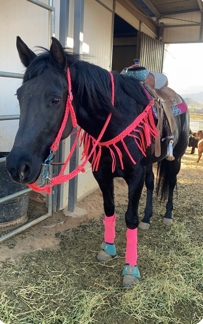 Pink mule tape tack set.
