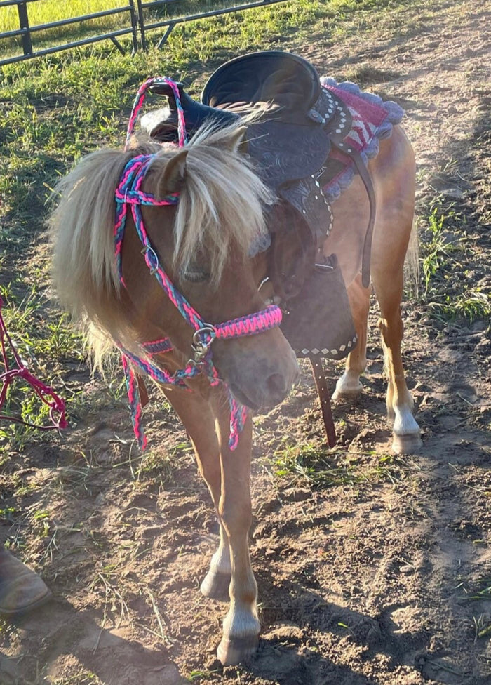 Pony Set-  hot pink turquoise and lilac.