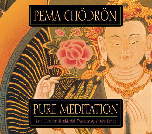 Pure Meditation