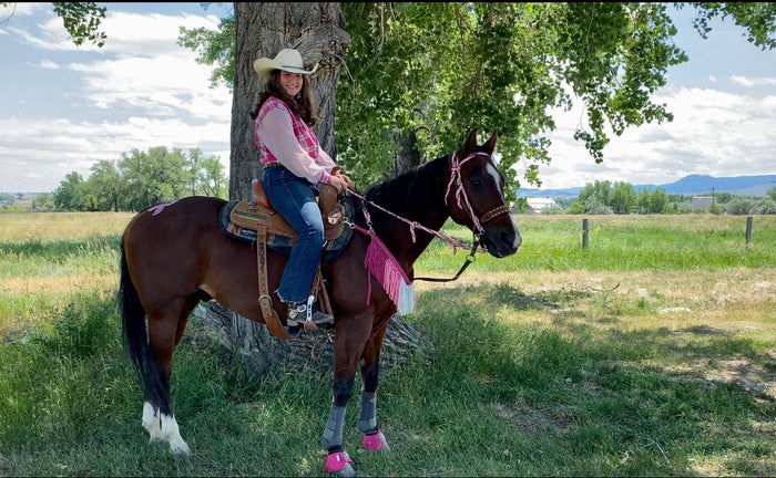 Purple  ombré Tack set …. All sizes
