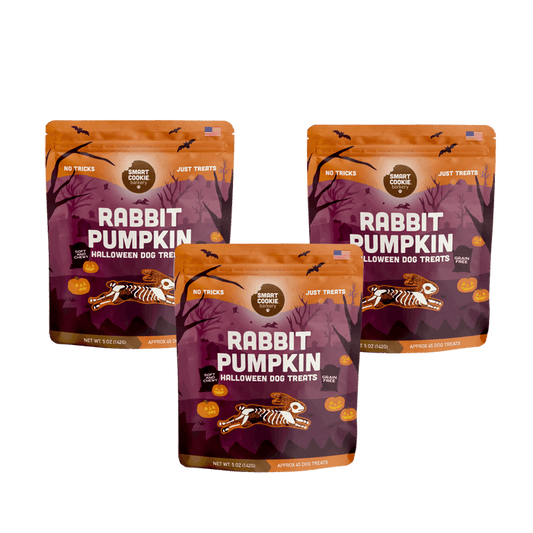Rabbit + Pumpkin Bundle – Halloween Edition