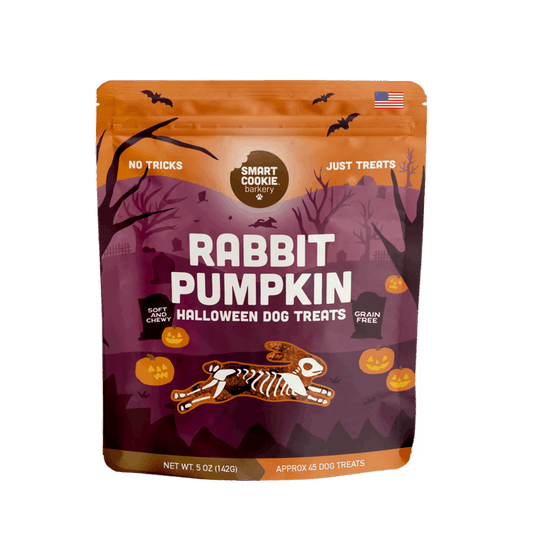 Rabbit + Pumpkin – Halloween Edition