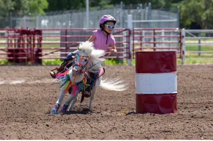 Rainbow Fringe Tack set with bitless bridle - Tiffanys Braided Tack LLC
