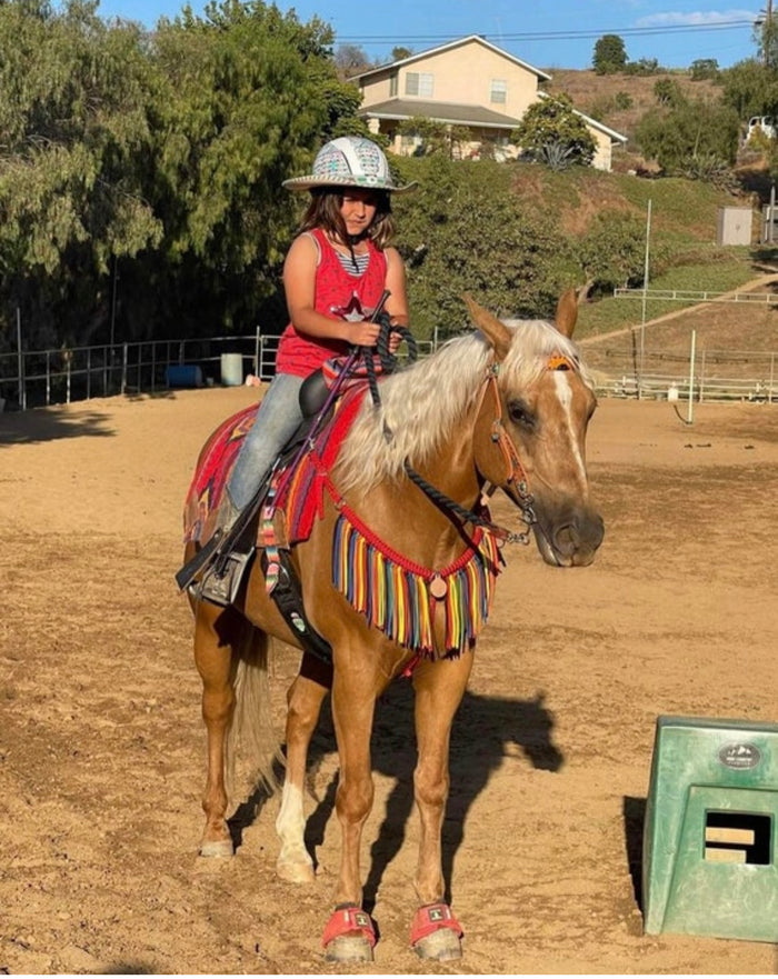 Red serape fringe breast collar with wither strap and barrel reins