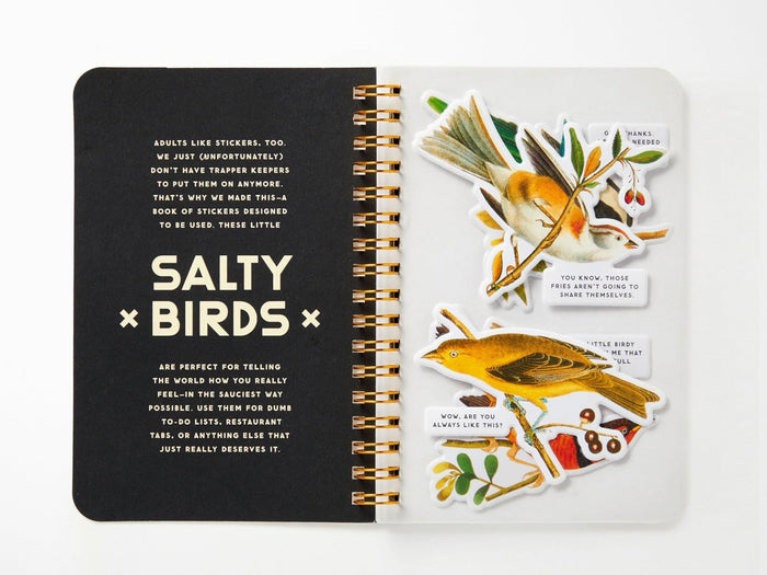 Salty Birds Sticker Book