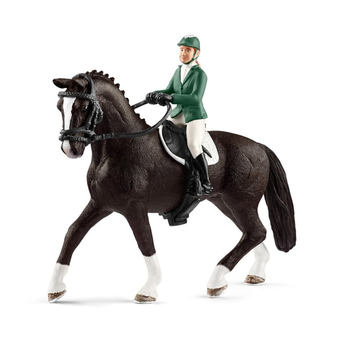 Showjumper with horse