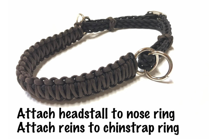 Side pull attachment with a whoa dark brown and black