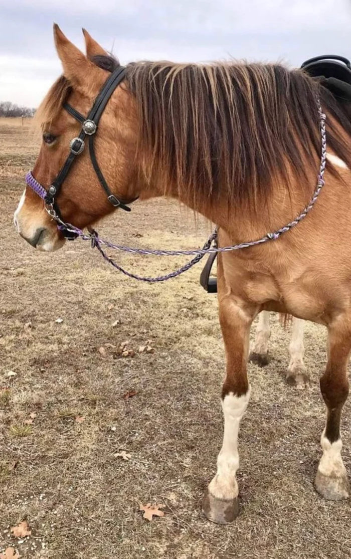 side pull hackamore  bitless attachment.... lilac with brown or black chinstrap...all sizes