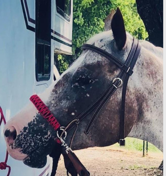 Side pull hackamore "with a whoa" bitless attachment.... red with black chinstrap...all sizes