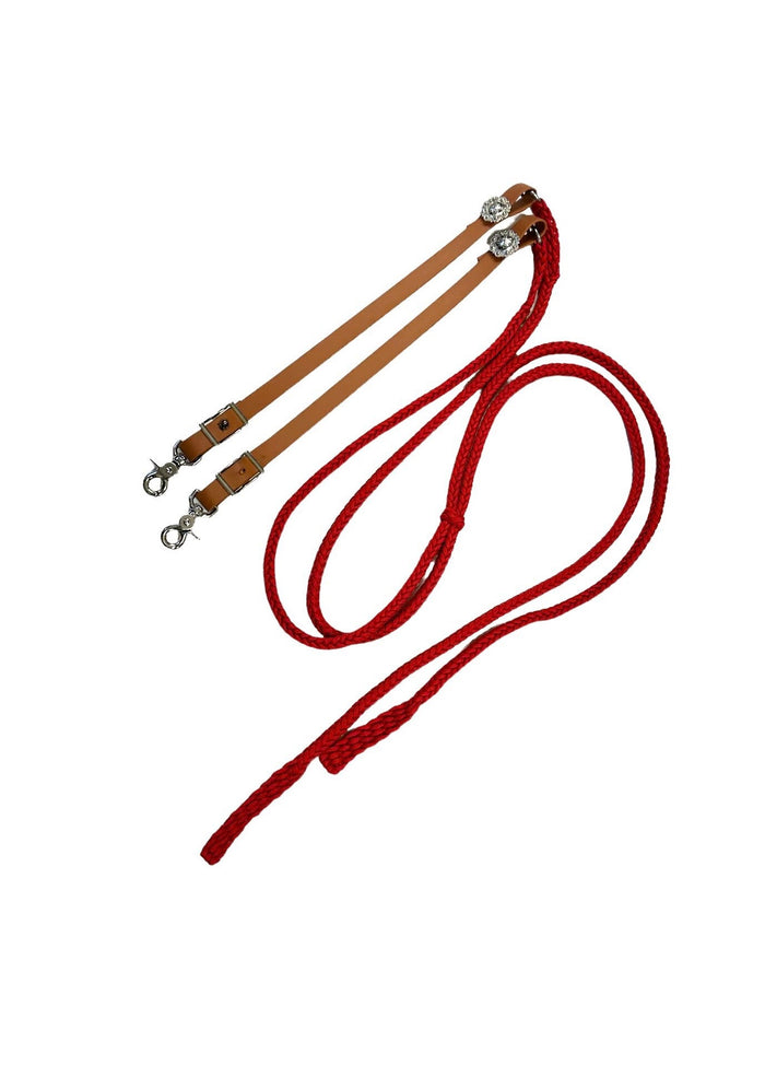 Split reins with beta biothane and braided paracord