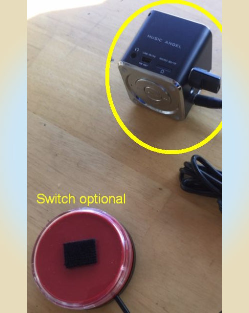 Switch-Adapted Cause/Effect Player