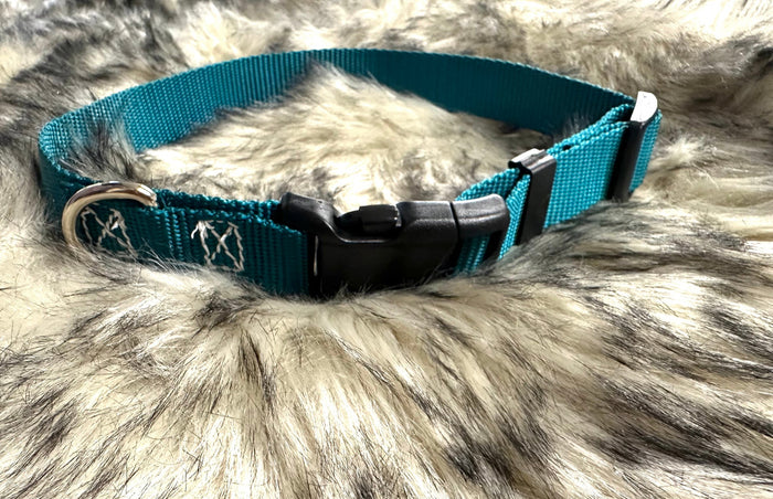 TBT dog collar nylon