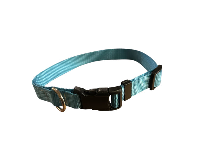 TBT nylon dog collar light blue
