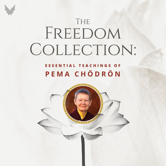 The Freedom Collection