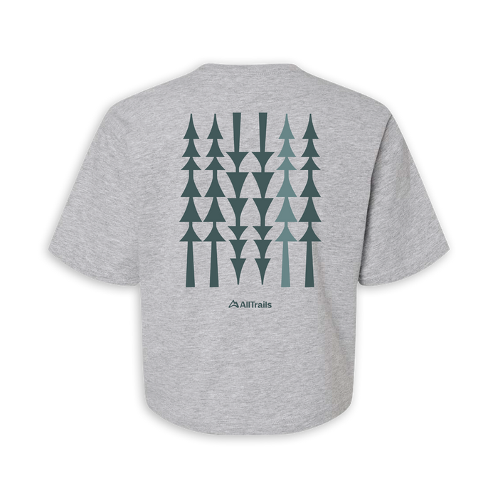 Treeline Women's Boxy Tee - Heather Gray Tees Touchstone