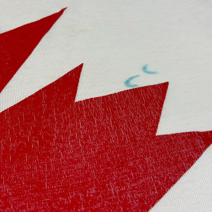 Vintage 1976 Team Canada #9 Jersey