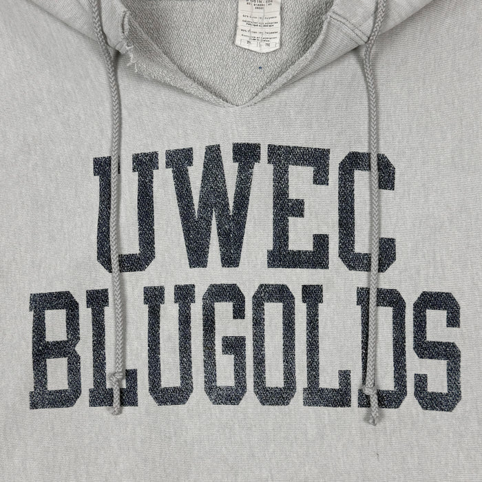 Vintage Champions Reverse Weave Hoodie In Heather Grey