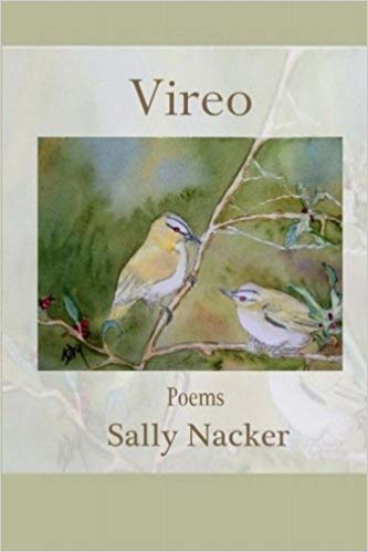 Vireo