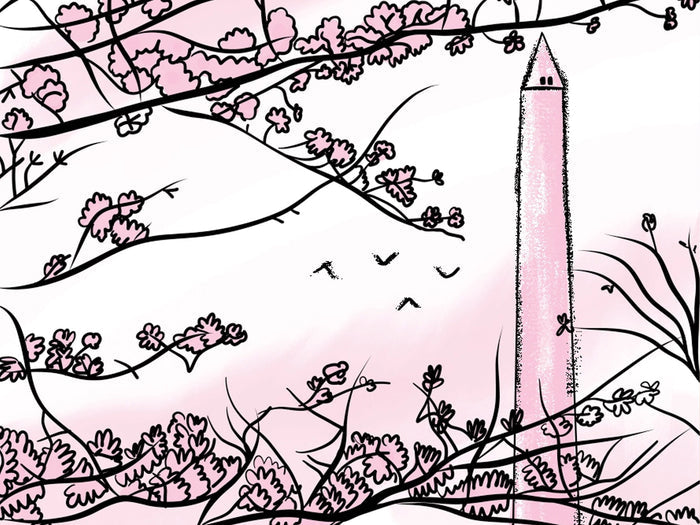 Washington DC Field Guide